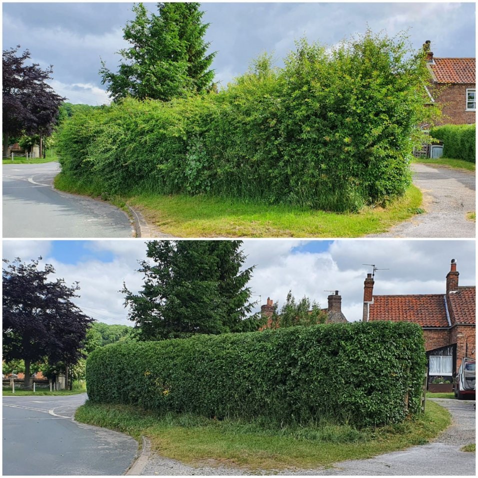 Hedge cutting services a little about Kettering Gardening Co